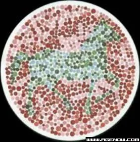 Color Blindness