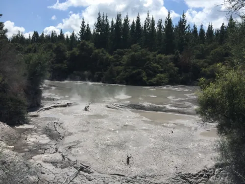 Waiotapu的地热喷泉